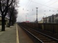 /album/kepgaleria-3-csoporttalalkozo-hatvan-vasutallomas-2013-03-23-/rch-taurus-jpg/